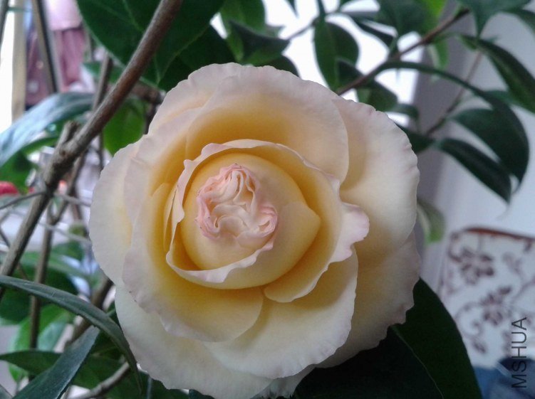20130201_094243.jpg
