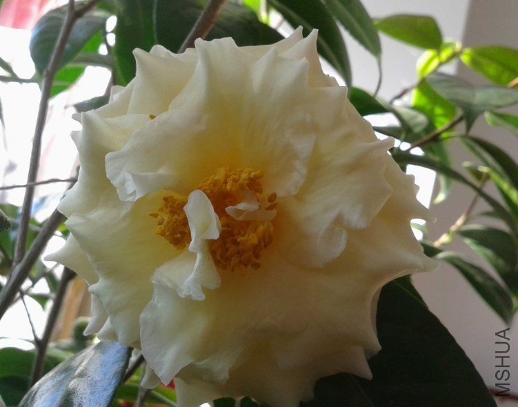 20130202_132604.jpg