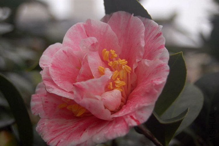 DSC_00030003.JPG