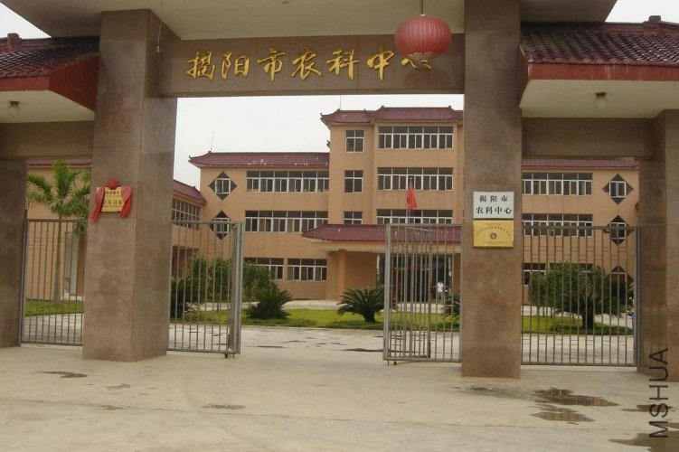 01.JPG