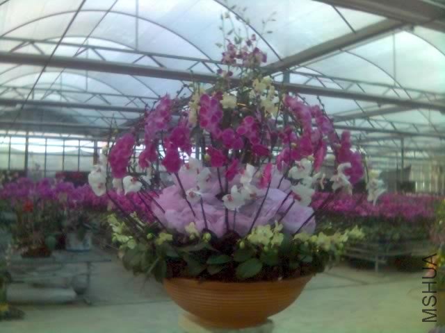 26-01-07_0741.jpg