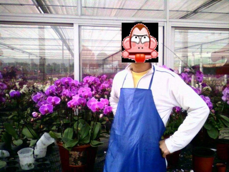 43.JPG