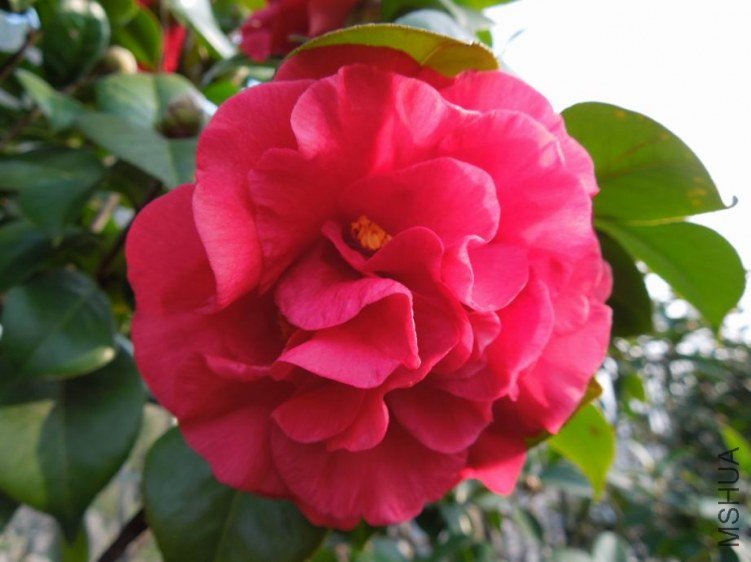 ������С DSCN4330.JPG