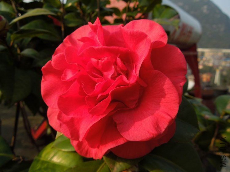 ������С DSCN4334.JPG