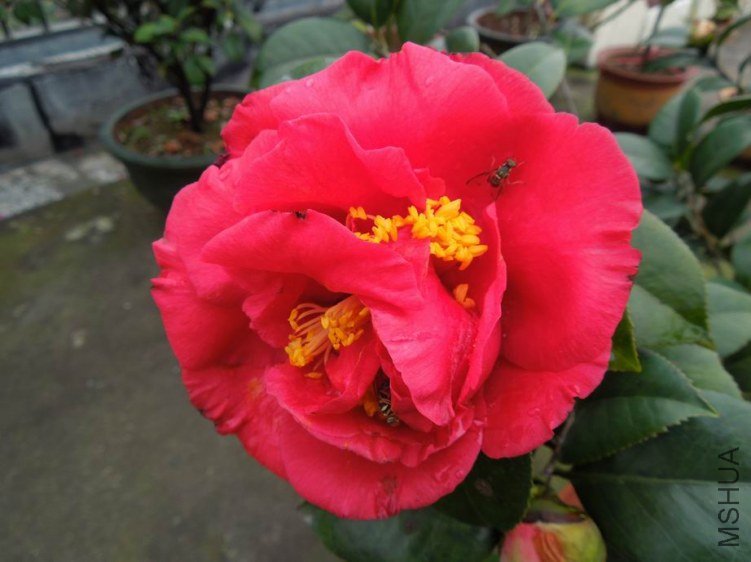 ������С DSCN4399.JPG
