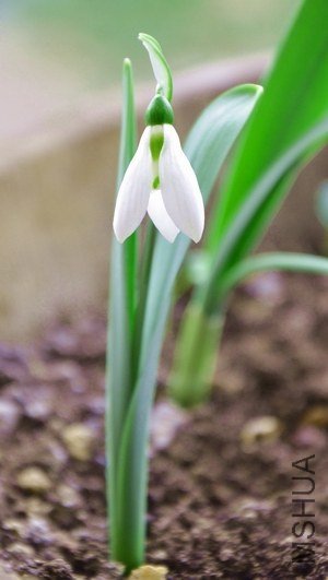 201211 050.jpg