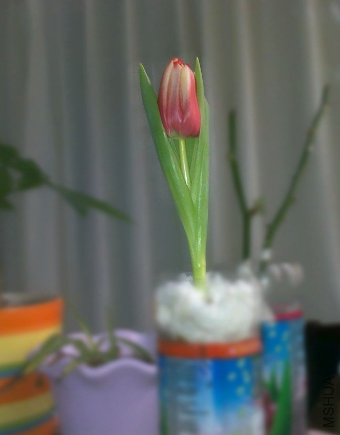 20130201514.jpg