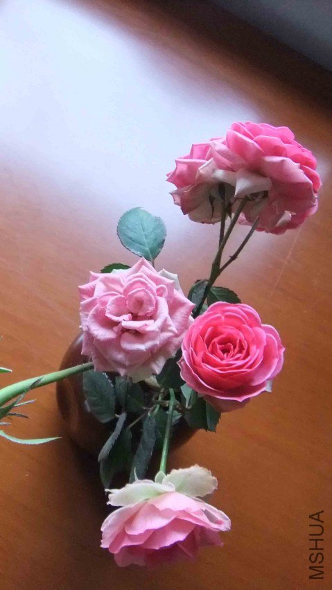 �����⼸��������ģ����������ȫ��һ��