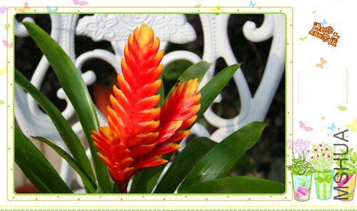 ��Ƭ 128_����.jpg