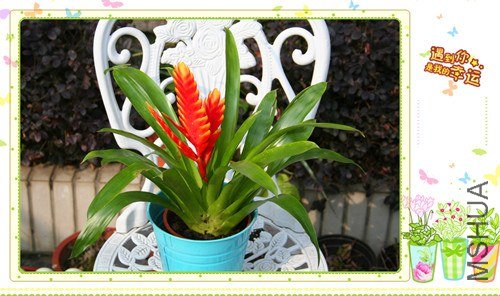 ��Ƭ 125_����.jpg