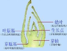 472309f7905298227fdc3d58d7ca7bcb0b46d4b9.jpg