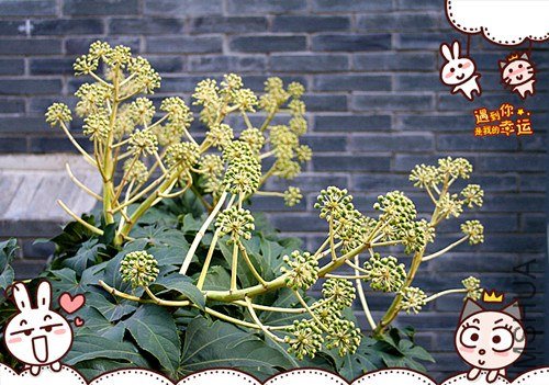 ��Ƭ 043_����.jpg