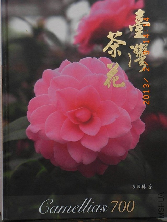 0203-a.JPG