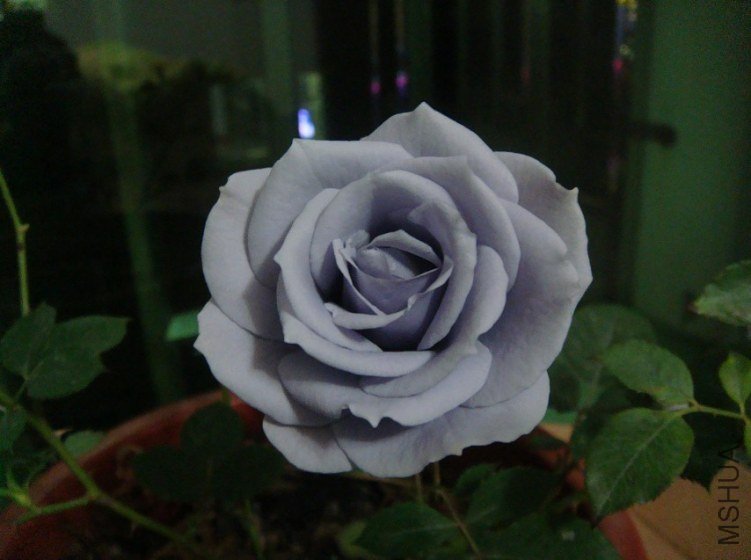 $D57GKZXGFY56_0%UR3TMV7.jpg