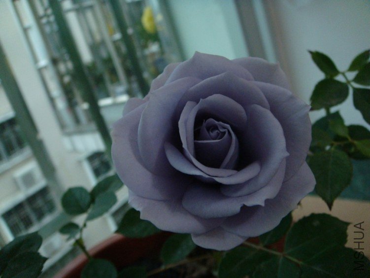 BB~V@)@880ZAHXFR_ZKBIWS.jpg