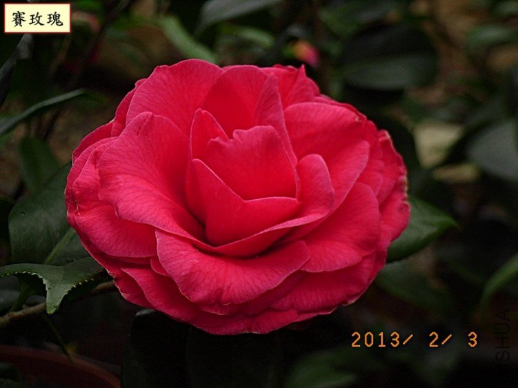 ِõ��1A.JPG