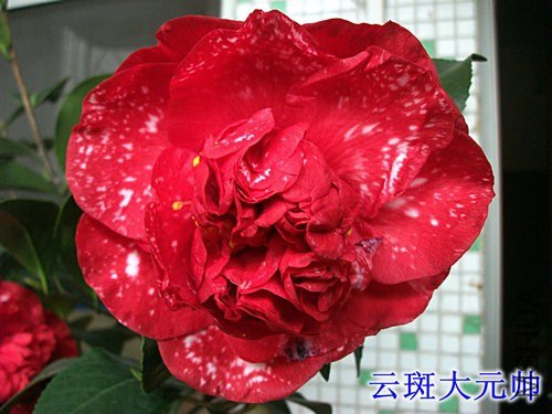 ��Ƭ 126_����.jpg