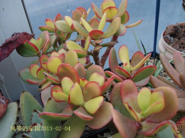 DSC07952.jpg