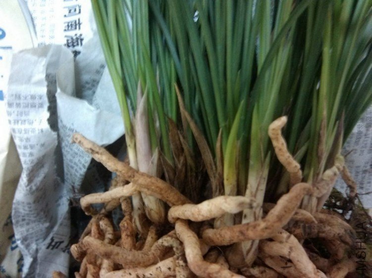 �Ա�����-2.11.23.jpg