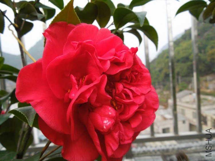 ������С DSCN4485.JPG