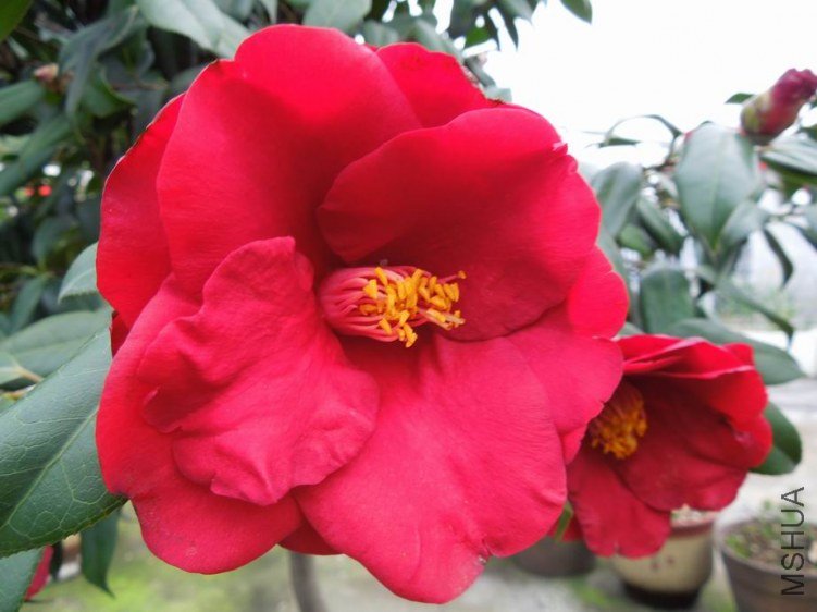 ������С DSCN4448.JPG