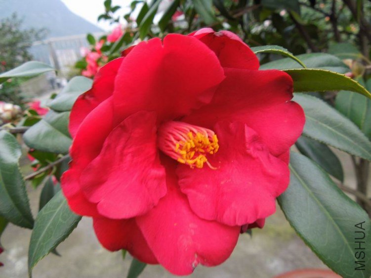 ������С DSCN4449.JPG