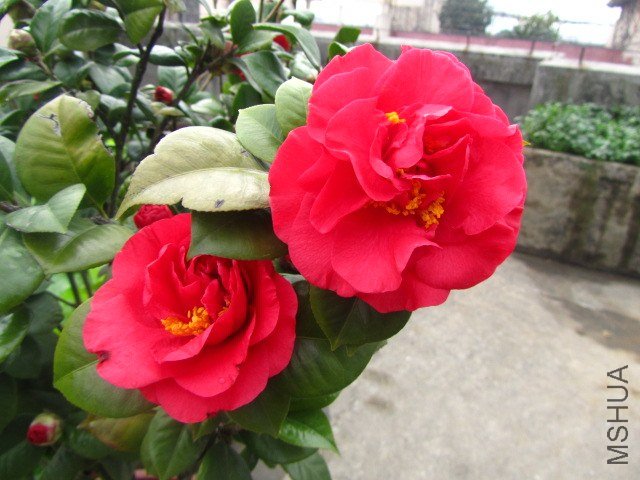 IMG_3089.jpg