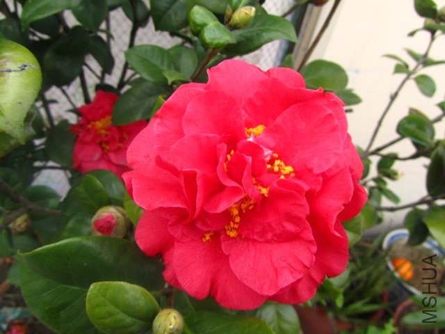 IMG_3074.jpg