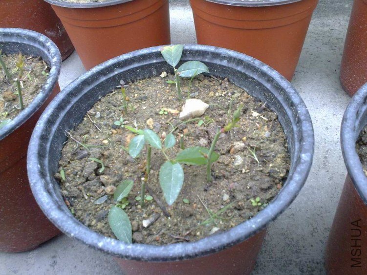 ��Ƭ0908.jpg