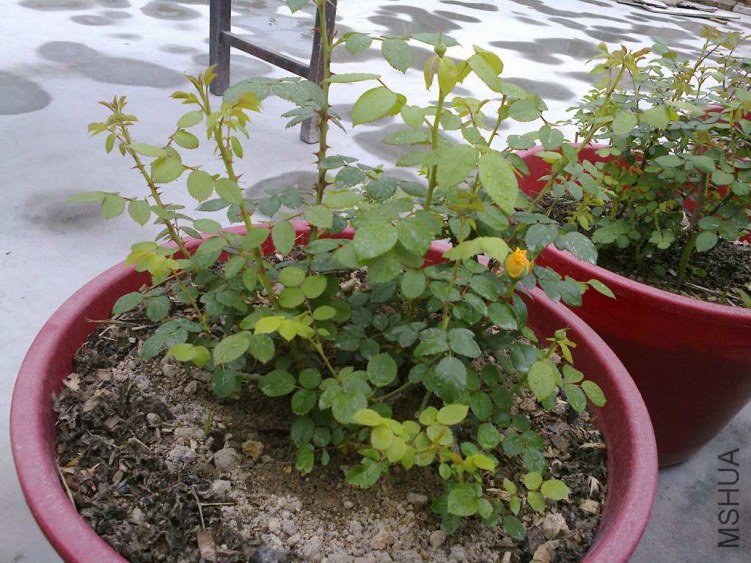 ��Ƭ0917.jpg