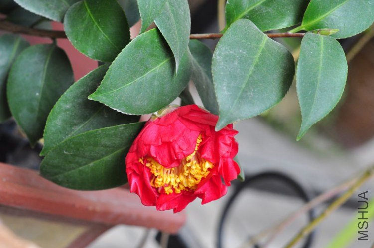 DSC_8793.JPG