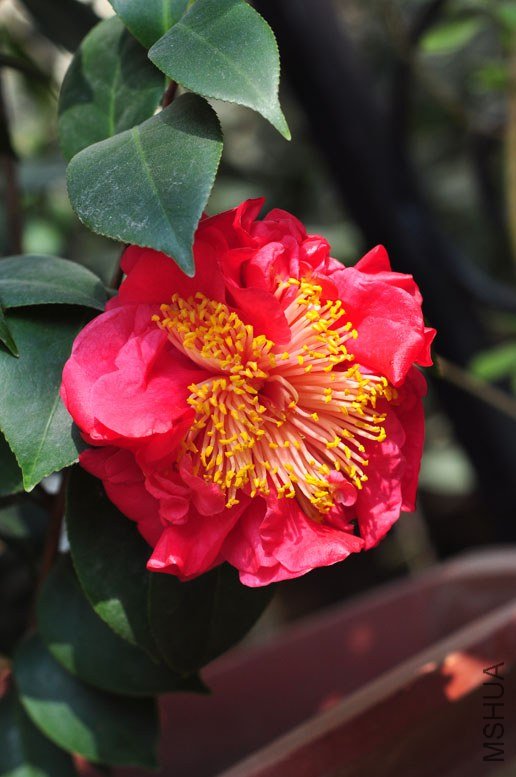 DSC_8819.JPG