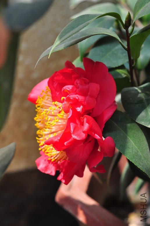 DSC_8820.JPG