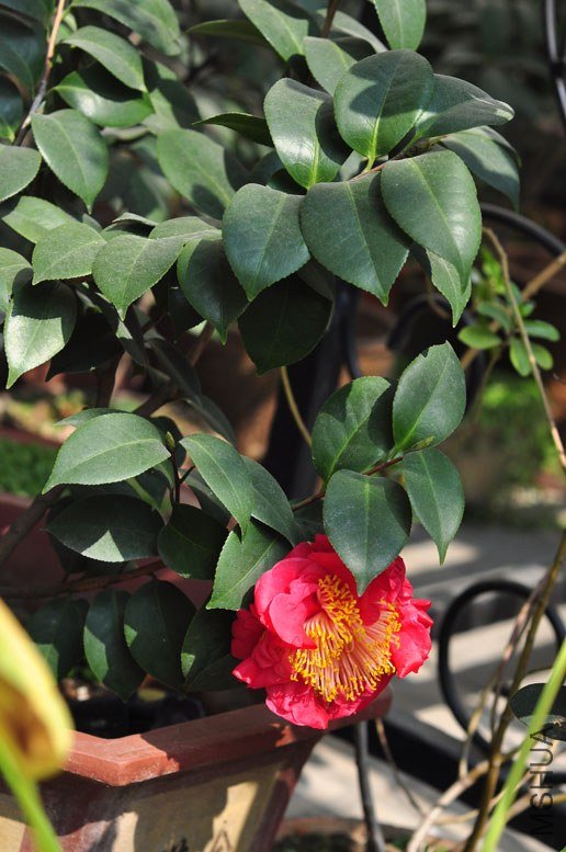DSC_8824.JPG