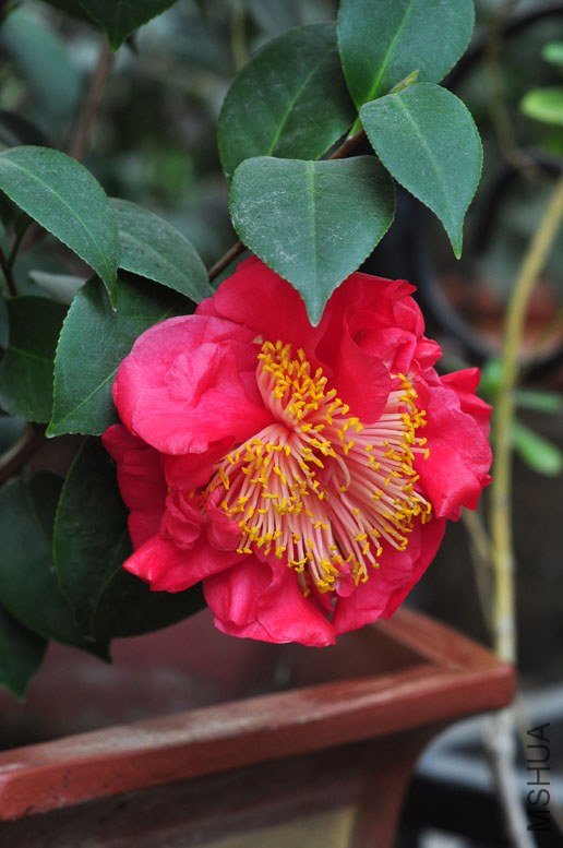 DSC_8837.JPG