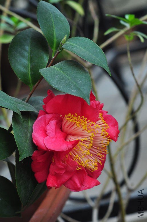 DSC_8839.JPG