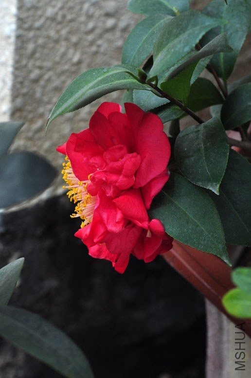 DSC_8840.JPG
