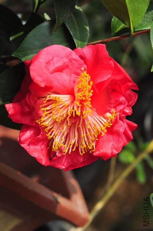 DSC_8849.JPG