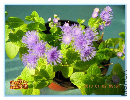 ��Ƭ 028_����.jpg