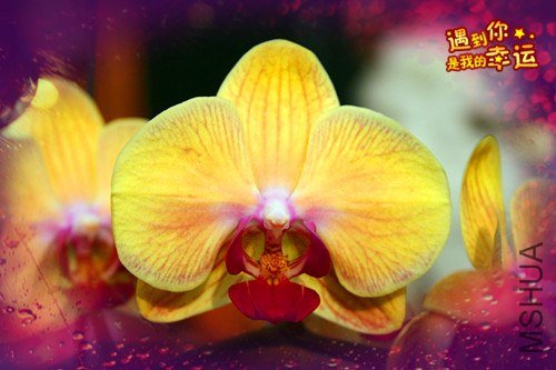 ��Ƭ 171_����.jpg