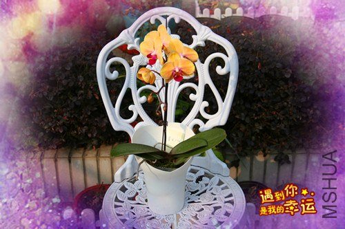 ��Ƭ 164_����.jpg