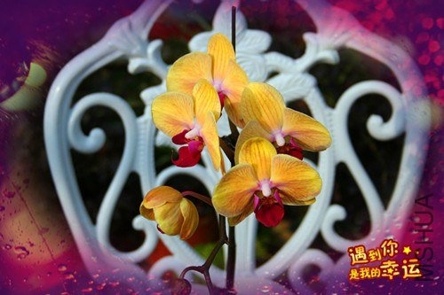 ��Ƭ 167_����.jpg