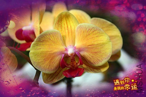 ��Ƭ 169_����.jpg