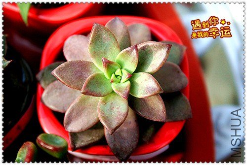 ��Ƭ 081_����.jpg