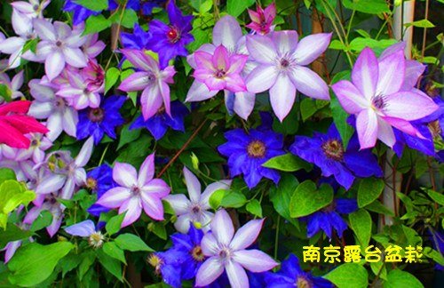 9the President6[1]_����.jpg