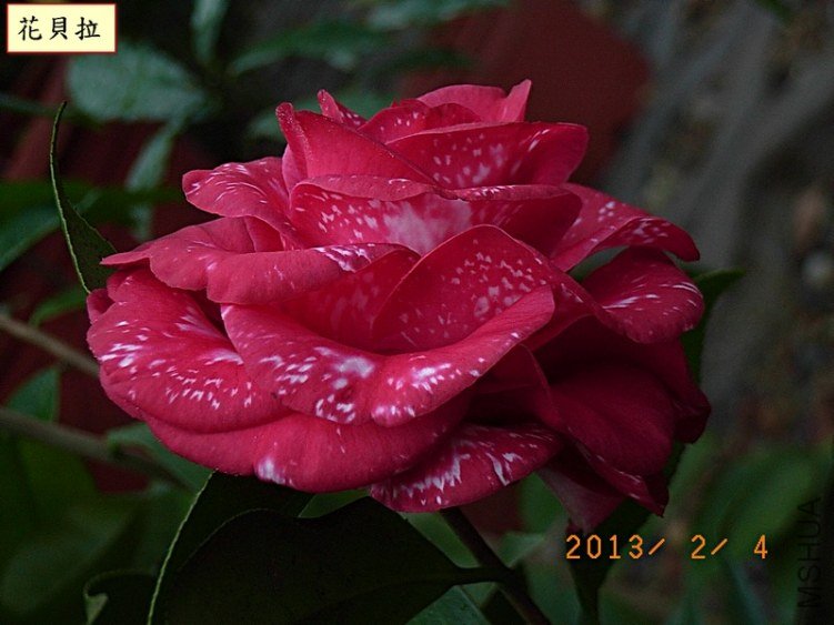 ��ؐ��1C.JPG