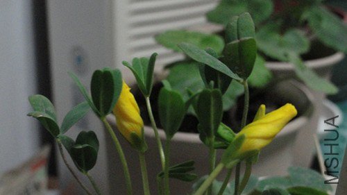 DSC00551_����.jpg