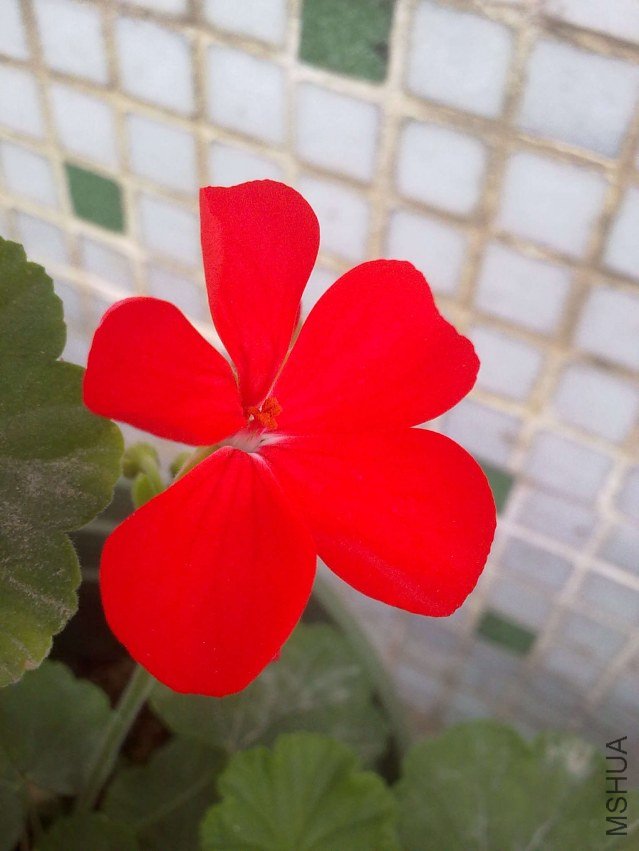 20121103062.jpg
