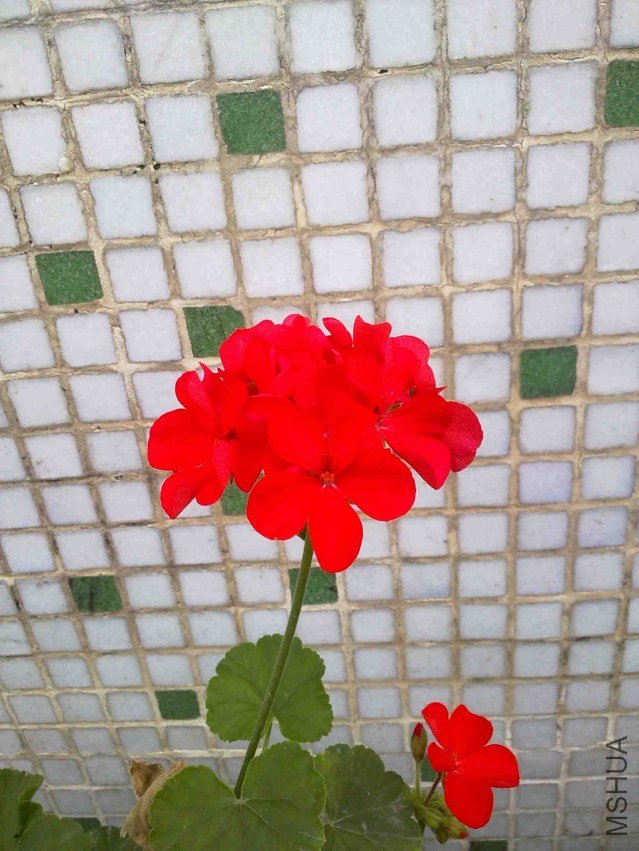 20121103060.jpg