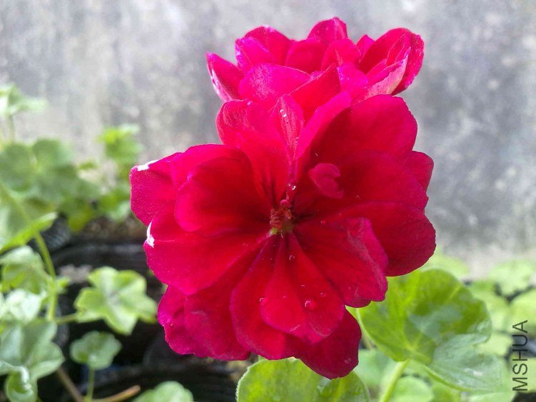 20121119100.jpg